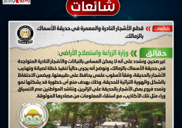 الحكومة تنفي قطع الأشجار النادرة والمعمرة في حديقة الأسماك بالزمالك