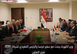 وزير الكهرباء يبحث مع سفير فرنسا والرئيس التنفيذي لشركة “EDF” تعزيز التعاون