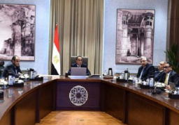 بالصور: رئيس الوزراء يبحث سبل تعميق صناعة الأدوية وزيادة التصدير