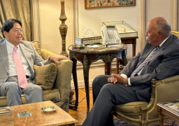 بالصور.. وزير الخارجية يعقد جلسة مباحثات مع نظيره الياباني