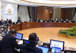 مجلس الوزراء يوافق على مشروع قانون بشأن إقرار بعض التيسيرات للمصريين المقيمين بالخارج