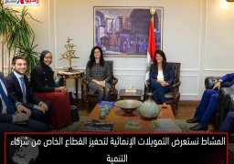 المشاط تستعرض التمويلات الإنمائية لتحفيز القطاع الخاص من شركاء التنمية