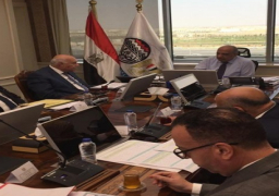 وزير قطاع الأعمال العام يستعرض طرح الفرص الاستثمارية وتعزيز الشراكة مع القطاع الخاص