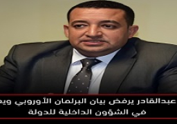 النائب تامر عبدالقادر يرفض بيان البرلمان الأوروبي ويعتبره تدخلا في الشؤون الداخلية للدولة