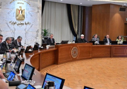 “الوزراء” يوافق على مشروع قانون بإعادة تنظيم المجلس القومي للطفولة