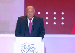 وزير الخارجية .. نجحنا بجهود الرئيس السيسي في استعادة عضويتنا بالاتحاد الإفريقي وترأسته مصر في 2019