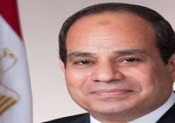 الرئيس السيسي يوقع قانونًا باستثناء قيد بعض الشركات من بعض أحكام قانون سجل المستوردين