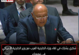 شكري يشارك في لقاء وزراء الخارجية العرب مع وزير الخارجية الأمريكي في نيويورك