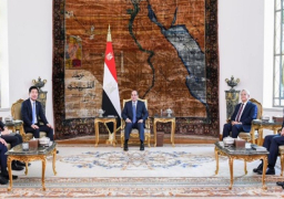 الرئيس السيسي يؤكد ضرورة استناد التسوية العادلة للقضية الفلسطينية على حل الدولتين