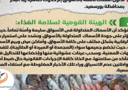 بالإنفوجراف.. الحكومة تنفي تداول أسماك نافقة بالأسواق إثر حدوث ظاهرة زبد البحر بمحافظة بورسعيد