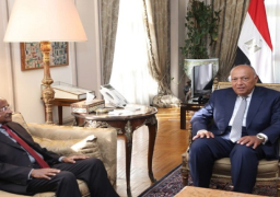 بالصور ..شكري يلتقي مع وزير خارجية إريتريا والمستشار السياسي للرئيس الإريتري