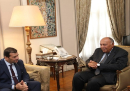 بالصور.. شكري يبحث مع الهيئة الوطنية للانتخابات استعدادات إجراء الانتخابات الرئاسة للمصريين بالخارج