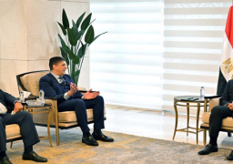 بالصور.. مدبولي يلتقي مسئولي مجموعة “فوداكوم” العالمية لاستعراض زيادة استثماراتها في السوق المصرية