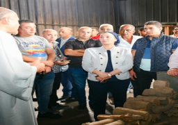 بالصور..فى زيارتها للشرقية.. وزيرة البيئة تقرر غلق مكامير الفحم المخالفة لمواجهة تلوث الهواء