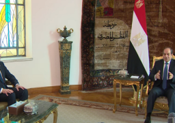 بالفيديو.. السيسي لوزير الخارجية الأمريكي: نسعى لاحتواء التصعيد بغزة وعدم دخول أطراف أخرى للصراع