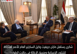 شكرى يستقبل مارتن جريفيث وكيل السكرتير العام للأمم المتحدة للشئون الإنسانية ومنسق الإغاثة في حالات الطوارئ