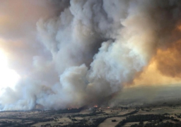 حرائق غابات تجتاح شرق أستراليا.. والسلطات تطالب بإخلاء البيوت