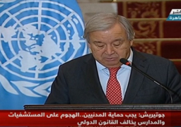 خلال مؤتمر صحفي مع شكري.. جوتيريش يدعو إلى وقف فوري لإطلاق النار لأسباب إنسانية في غزة