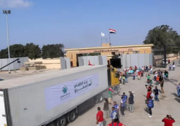 دخول 20 شاحنة مساعدات عبر معبر رفح