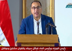رئيس الوزراء يستعرض المرحلة الثانية من خطة تنمية سيناء