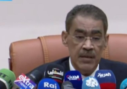 رشوان: الرئيس السيسي عبر عن موقف مصر الثابت تجاه القضية الفلسطينية