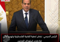 الرئيس السيسي : نرفض تصفية القضية الفلسطينية وتهجير أهالي غزة وندين استهداف المدنيين