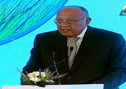 شكري: المدنيون الفلسطينيون في غزة يواجهون انتهاكات غير مسبوقة أبرزها الحرمان من المياه