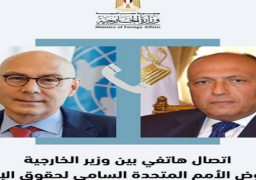 شكري ومفوض حقوق الإنسان يؤكدان أهمية نفاذ المساعدات الإنسانية لغزة دون عوائق