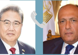 شكري يبحث هاتفيا مع وزير خارجية كوريا الجنوبية التصعيد العسكري في غزة