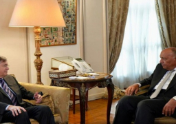 شكري يشدد على ضرورة وجود تحرك دولي جاد ومنسق لإنفاذ هدنة إنسانية فورية بقطاع غزة