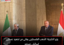 وزير الخارجية: الشعب الفلسطينى يعانى من تصعيد عسكرى إسرائيلى مستمر