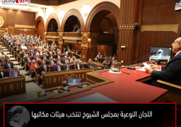 اللجان النوعية بمجلس الشيوخ تنتخب هيئات مكاتبها