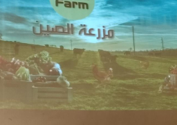 صور.. إطلاق التعاون الثقافي مع الصين بمجموعة جديدة من البرامج والأفلام