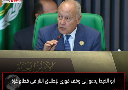 أبو الغيط يدعو إلى وقف فورى لإطلاق النار فى قطاع غزة