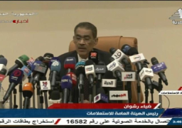 فيديو. رشوان: مصر حذرت من تدهور الأوضاع بالأراضي الفلسطينية من العام الماضي