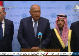 فيديو..وزير الخارجية: ندعو لوقف فوري ومستدام لإطلاق النار في غزة