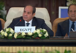 قيادات حزبية: قمة القاهرة للسلام أثبتت قدرة الدبلوماسية المصرية والالتزام حيال القضية الفلسطينية