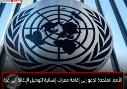 الأمم المتحدة تدعو إلى إقامة ممرات إنسانية لتوصيل الإغاثة إلى غزة