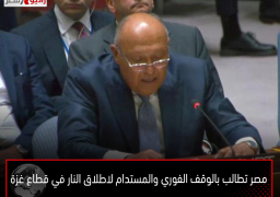 مصر تطالب بالوقف الفوري والمستدام لاطلاق النار في قطاع غزة