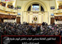 لجنة القوى العاملة بمجلس النواب تناقش اليوم علاوة غلاء المعيشة الاستثنائية