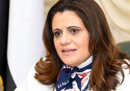 وزيرة الهجرة تحث أبناء الجاليات المصرية حول العالم على أهمية المشاركة في الانتخابات الرئاسية