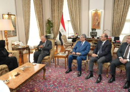 وزير الخارجية سامح شكري يلتقي وزيرة الدولة للتعاون الدولي لدولة قطر