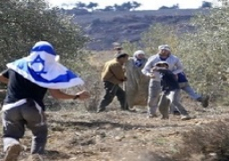 الأمم المتحدة: الوضع في الضفة “مقلق” ويستدعي تحركا “عاجلا”