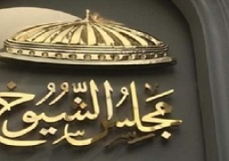 مجلس الشيوخ يستكمل مناقشة دراسة حول التنمية الاقتصادية بين مصادر الطاقة والحد من مشكلات البيئة