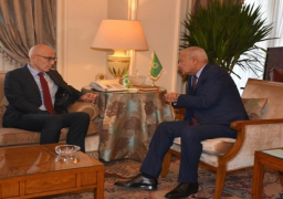 أبو الغيط: الوضع في قطاع غزة كارثي ويضع مبادئ حقوق الإنسان والقيم العالمية على المحك