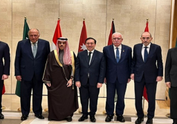 أبو الغيط يبحث مع وزيري خارجية البرتغال وسلوفينيا سُبل تفعيل حل الدولتين