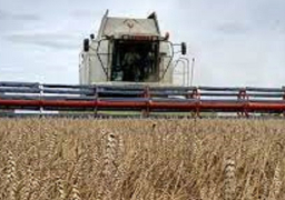 الحكومة الروسية تفرض قيودا على تصدير الحبوب لدعم السوق المحلي