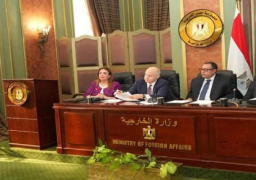 الخارجية : جهود مصرية مكثفة لتسهيل استقبال الرعايا الأجانب ودخول المساعدات إلى قطاع غزة