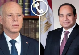 الرئيس السيسي ونظيره التونسي يبحثان استغلال الهدنة الحالية لوقف دائم لاطلاق النار