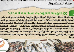 بالإنفوجراف.. مجلس الوزراء ينفي تداول أسماك نافقة بالأسواق بعد ظهورها على سواحل ميناء الإسكندرية